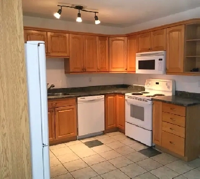 ENTIRE HOUSE for rent Image# 4