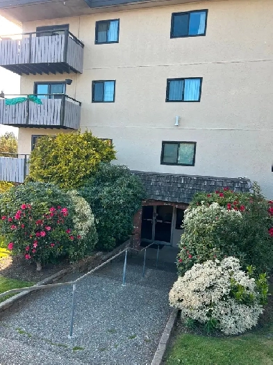 2 bedroom apartment for rent Image# 1