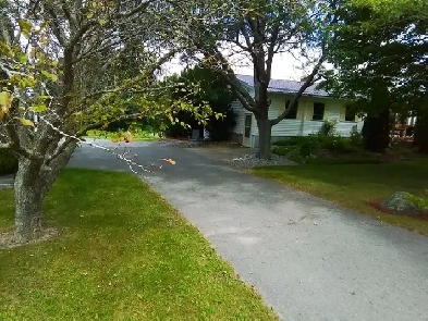 1 bedroom basment apartment  for rent Image# 3