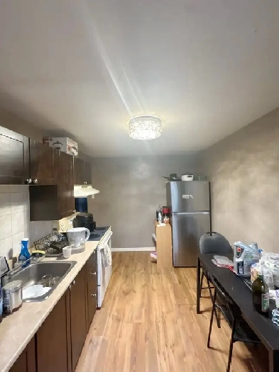 Beautiful 3-1/2 Triplex Lower Basement, near Metro Du College, Image# 1