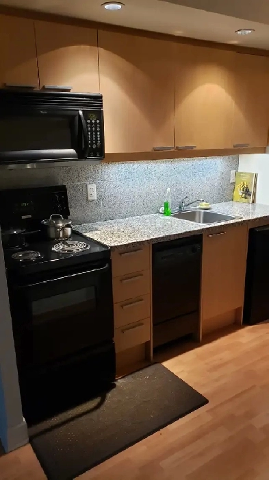 Condo Studio fully furnished long or short-term Yonge & Sheppard Image# 4