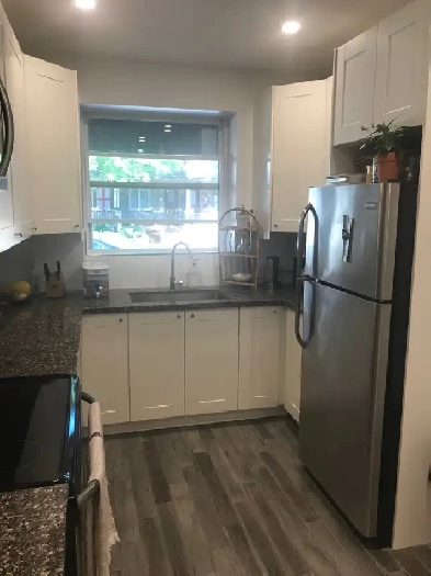 Renovated 1 Bedroom Main Floor Unit for Rent with Private Yard Image# 8
