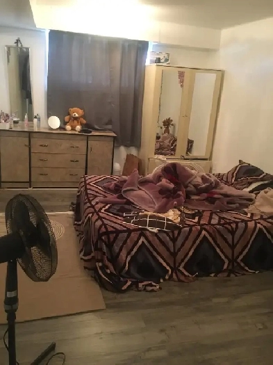 One bedroom in sharing in a two bedroom basement in Malton Image# 1