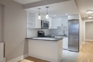 fully renovated one bedroom apartment near McGill - ID 2038 Image# 1