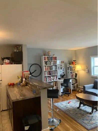 South End Pet Friendly Apartment for Sublet Image# 1