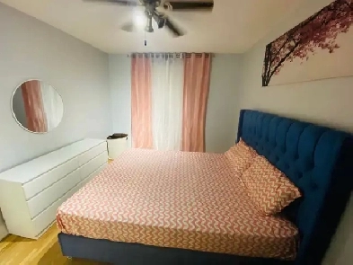 Room for Rent Image# 1