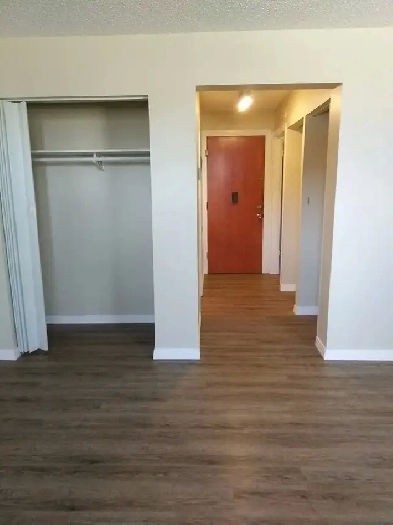 Bachelor Suite for Rent June 1st Image# 8
