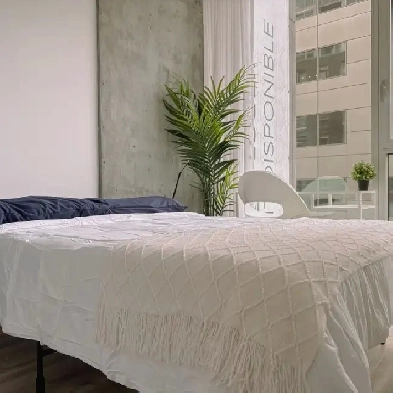 Private room for rent Image# 1