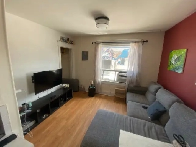 Room Available in Little Portugal Image# 4
