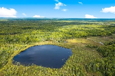 115 acres bush lot Image# 3