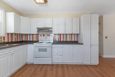 Full House For Rent Including Basement & Garage Image# 3