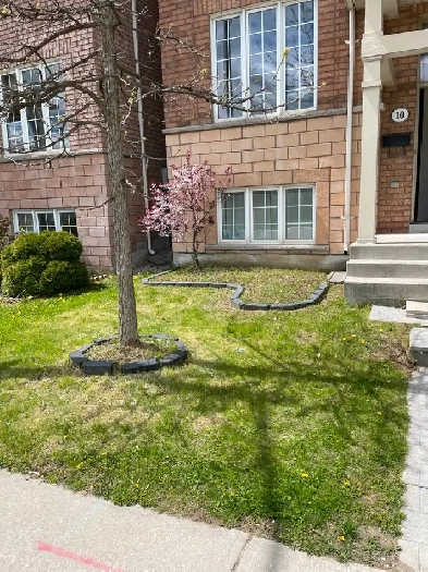 VILLAGE AT YORK UNIVERSITY ROOM FOR RENT Image# 1