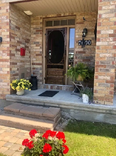 Basement w/ Gas Fireplace for Rent in Lovely 3 Bdrm Home Image# 8