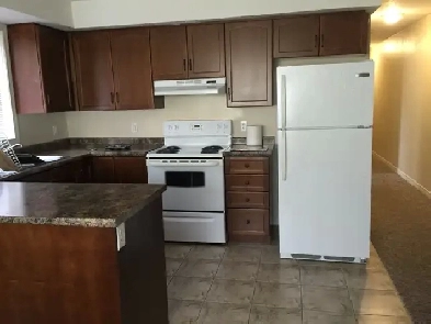 Bachelor Apartment for rent Image# 1