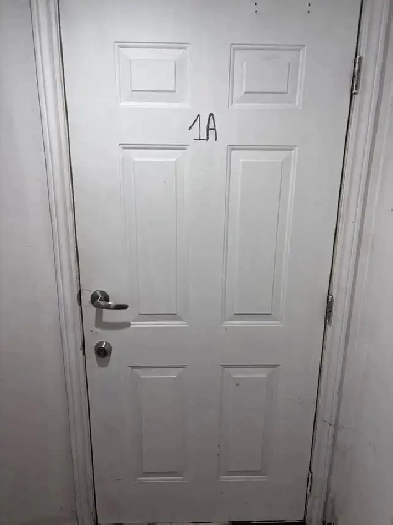 Pet friendly basement apartment Image# 1