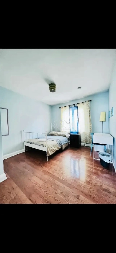 room for rent Kensington Market Image# 5
