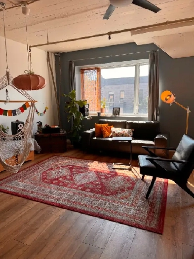 Loft Apartment for Sublet - Mile-End, Saint Laurent $1850 Image# 1