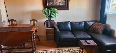 one bedroom furnished all utilities included. Image# 8