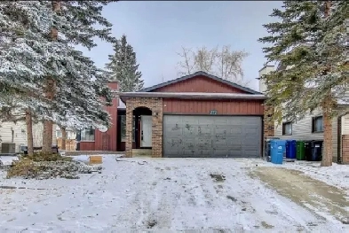 3 bed 2 bath house for rent Image# 4