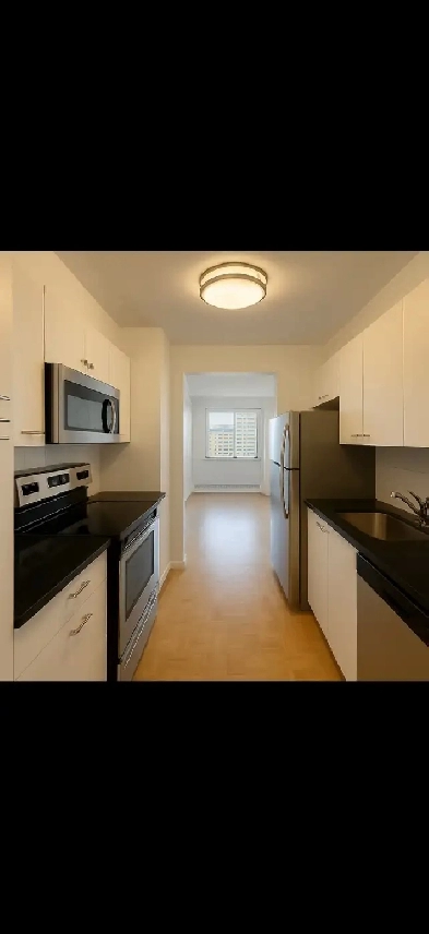 3.5 apartment in Downtown, golden square mile ! Image# 1