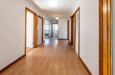 Grand 5 1/2 RDC avec acces a la cours, possibilité stationnement Image# 1