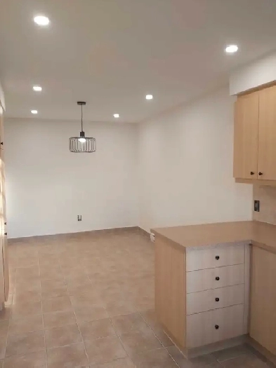 Logement 5 1/2 lumineux est spacieux metro fabre Image# 1