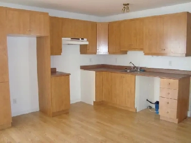 Logement 4-1/2 en bordure du Fleuve Image# 3