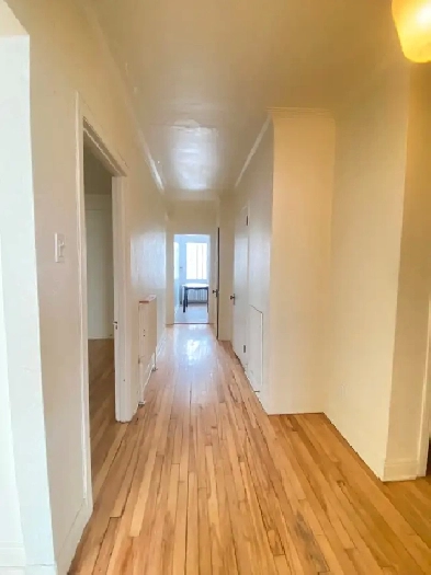 Grand 51/2 lumineux sur le plateau Mont Royal Image# 1