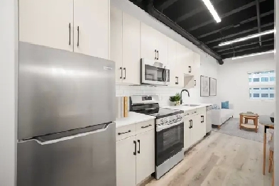 Beautiful 1 Bedroom Apartment in West Broadway for Rent! Image# 3