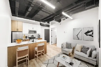 Luxury 1 Bedroom Apartment - Walking Distance to Everything! Image# 10