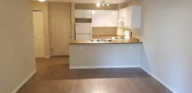 Cozy open layout 1 Bdrm Image# 1