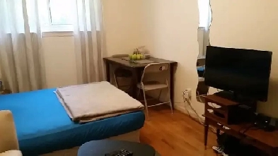 Master Bedroom steps to Subway for Rent (Sheppard / Bayview) Image# 4