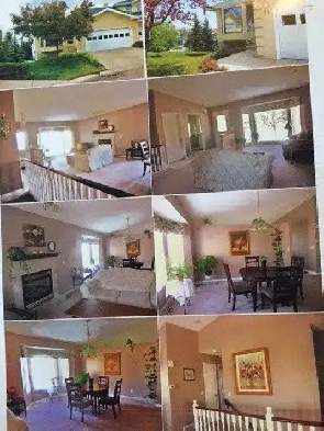 TENANT TO SHARE LARGE CONDO IN NORTHWEST BEDDINGTON Image# 1