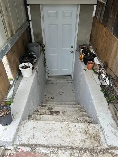 2 bedroom plus den basement Image# 1