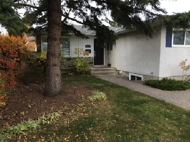 Amazing location in Brentwood (5 min to LRT, shops & restorants) Image# 3