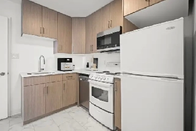 Newly Renovated 1 Bedroom Apartment Available May or June! Image# 1