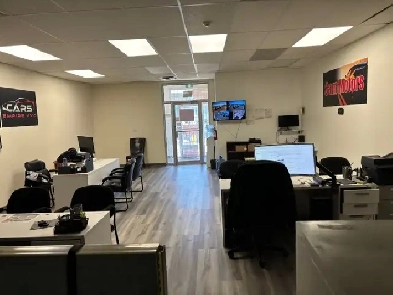 Car Dealership Spot for (15 cars spot) Image# 6