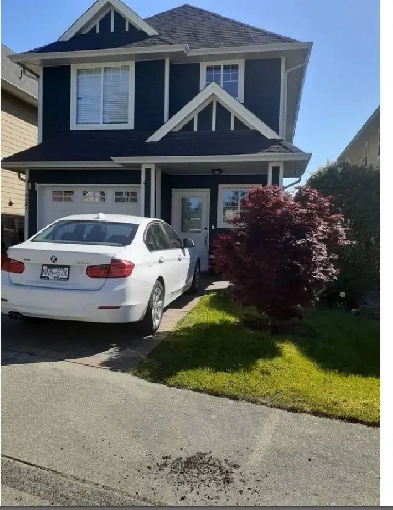 $1,000 / 3br - Absolutely stunning house to share (Langford) Image# 8