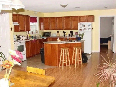 Beautiful Apartment Image# 8