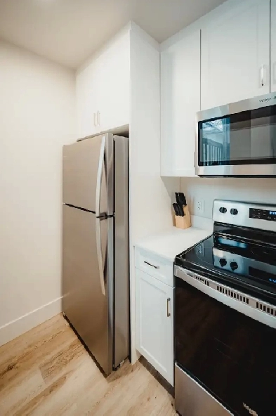 Fully Furnished 1 Bedroom Apartment for Rent! Move in Ready! Image# 8