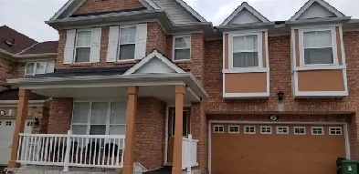 BASEMENT FOR RENT, MORNINGSIDE & SHEPPARD, UTSC, CENTENNIAL Image# 1