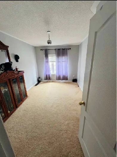 room for rent Image# 1