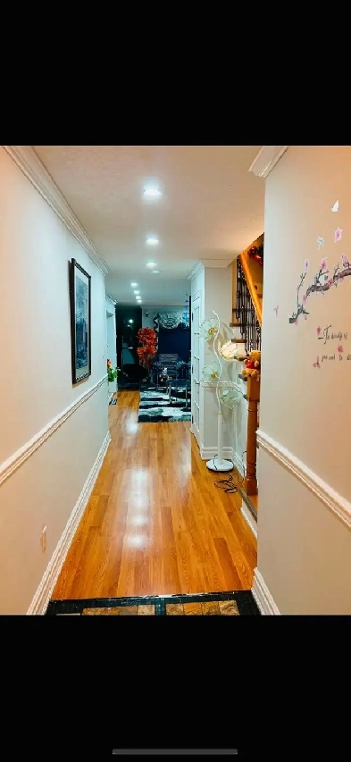 one room separate in basement Image# 2