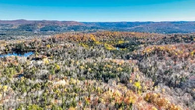 Grand terrain à développer ou pour domaine privé à Chertsey Image# 1