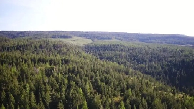 4285 brewer Creek Road, Lavington, BC (MLS® Image# 9