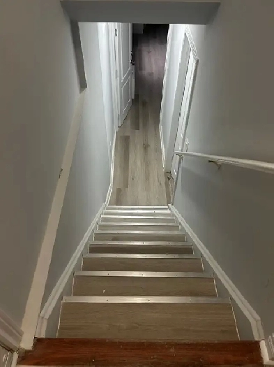 1 bed, 1 bath basement apartment for vegetarian couple/family Image# 5