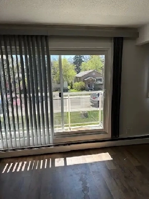 Large 1 BDRM & Den in Old Strathcona! South Facing Balcony! Image# 4