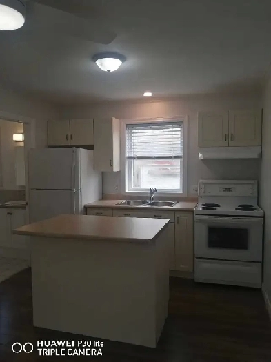 One bedroom apartment Image# 1