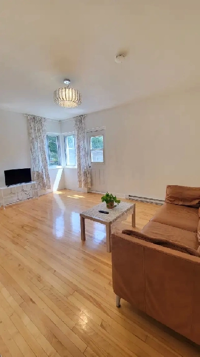 Room rent(2min station Snowdon, Large room with built in closet) Image# 1