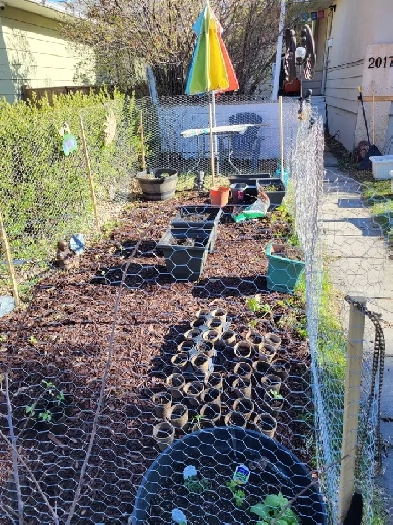 Room for rent Image# 1